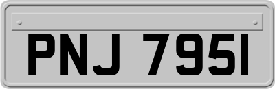 PNJ7951