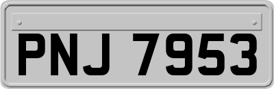PNJ7953
