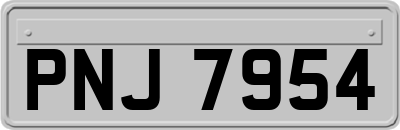 PNJ7954