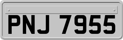 PNJ7955