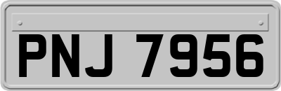 PNJ7956