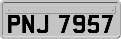 PNJ7957