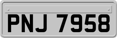 PNJ7958