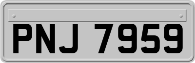 PNJ7959