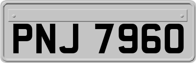 PNJ7960