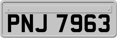 PNJ7963