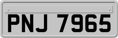 PNJ7965