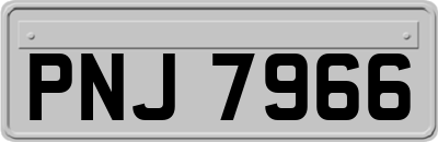 PNJ7966