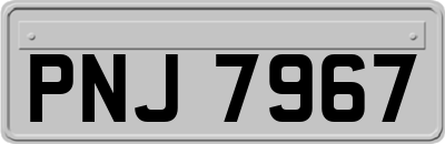 PNJ7967