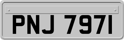 PNJ7971