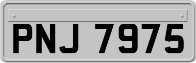 PNJ7975