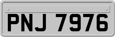 PNJ7976
