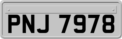 PNJ7978