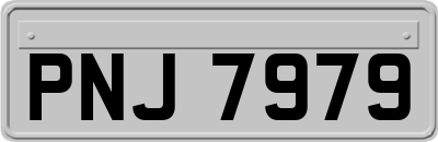 PNJ7979