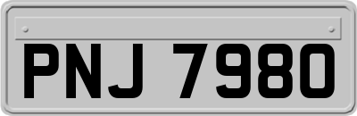 PNJ7980