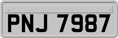PNJ7987