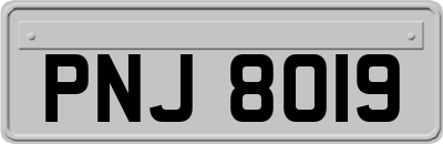 PNJ8019