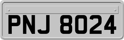PNJ8024