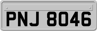 PNJ8046