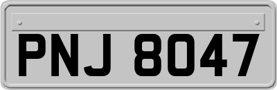 PNJ8047