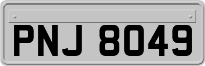 PNJ8049