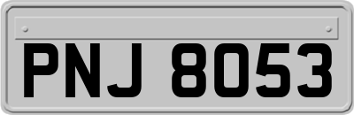 PNJ8053
