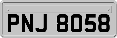 PNJ8058
