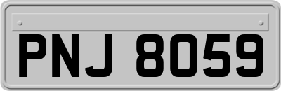 PNJ8059