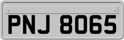 PNJ8065