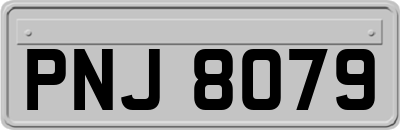 PNJ8079