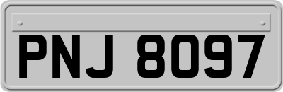 PNJ8097