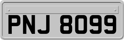 PNJ8099