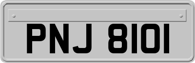 PNJ8101