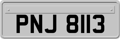 PNJ8113