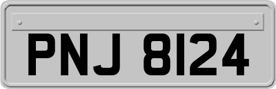 PNJ8124