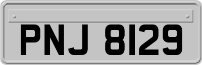 PNJ8129