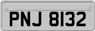 PNJ8132