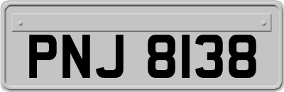 PNJ8138