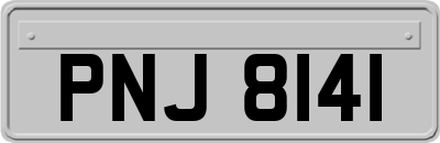 PNJ8141