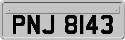 PNJ8143