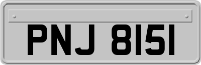PNJ8151