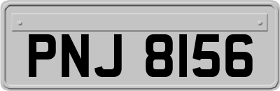 PNJ8156