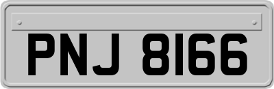 PNJ8166