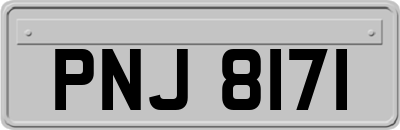 PNJ8171