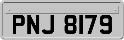 PNJ8179