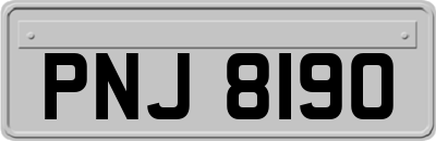 PNJ8190