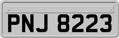 PNJ8223