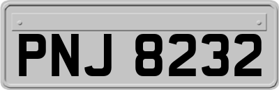 PNJ8232