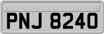 PNJ8240
