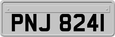 PNJ8241